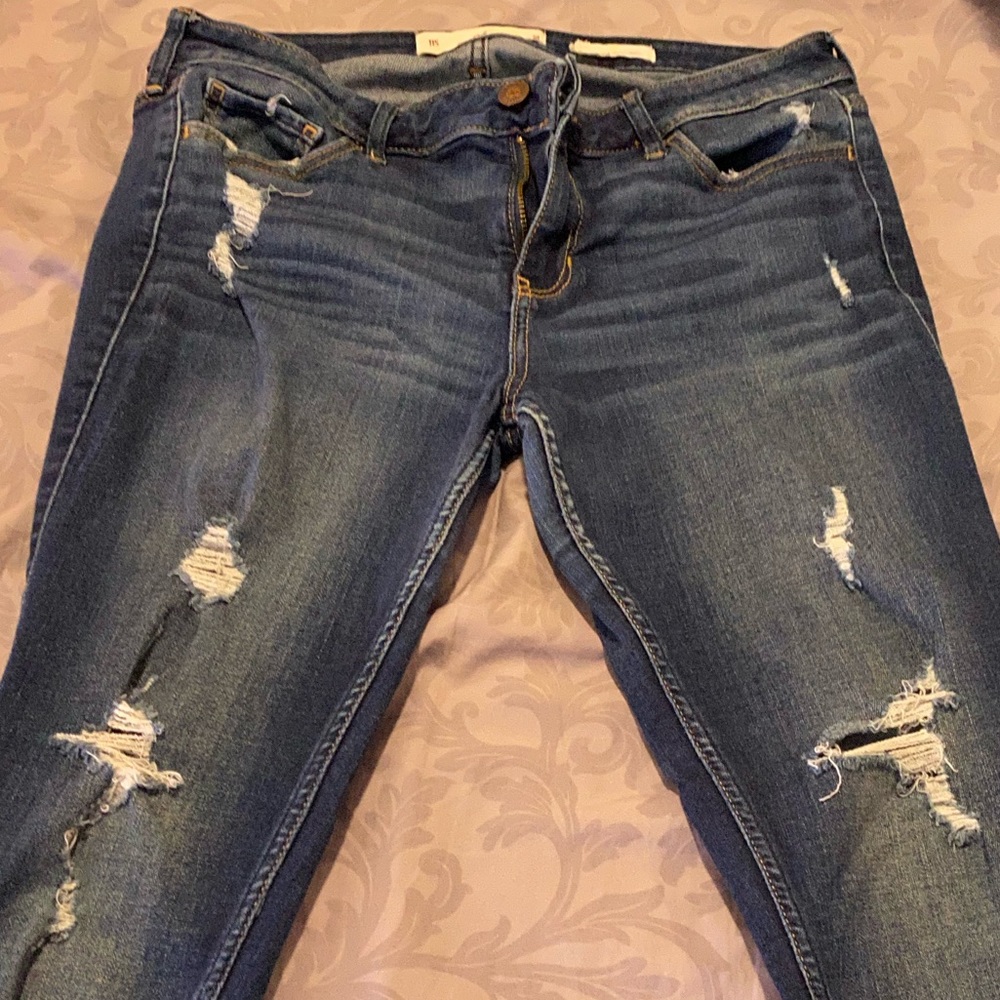 Hollister